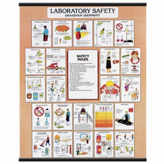 Laboratory Safety Chart product photo